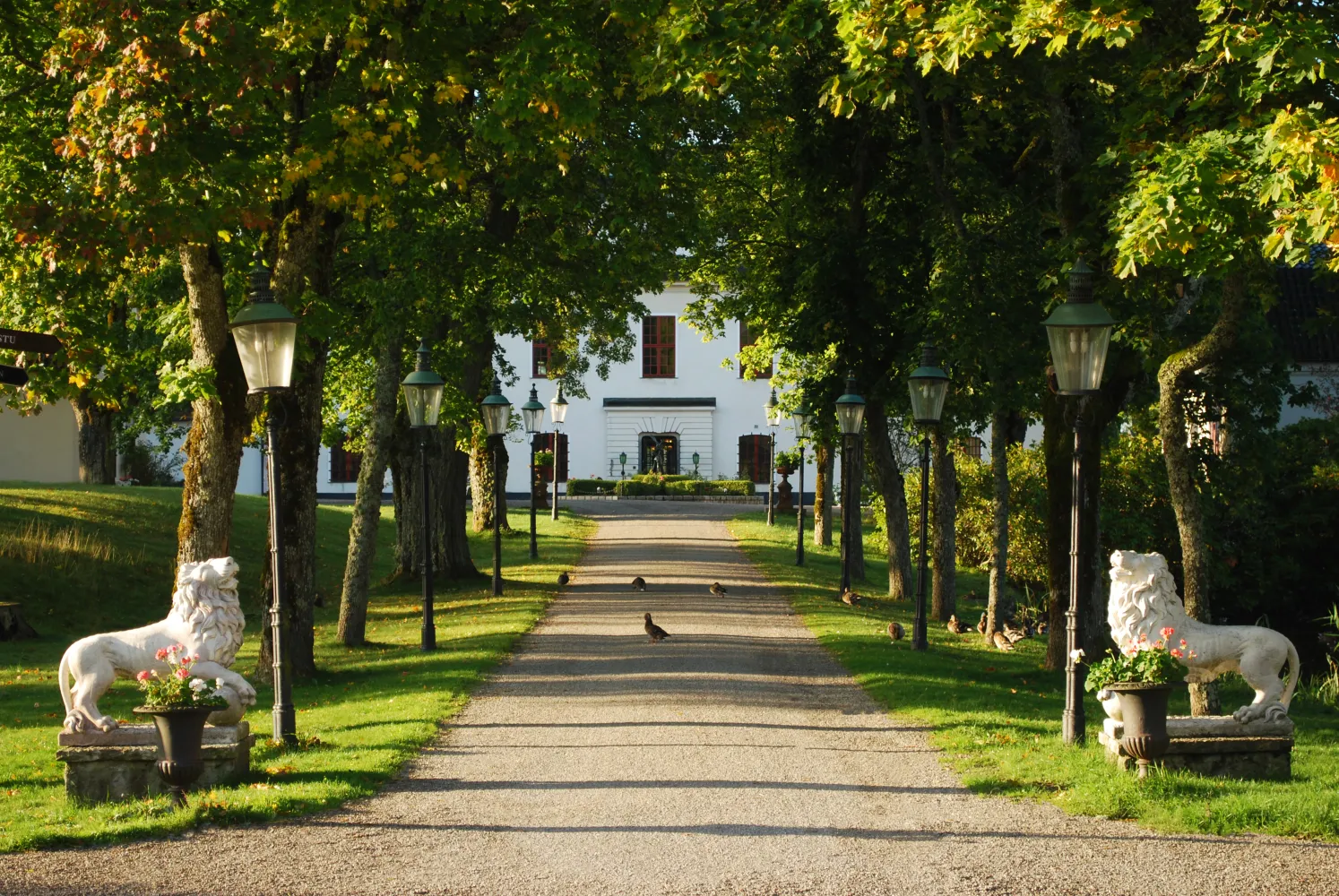 Sommar på Häringe