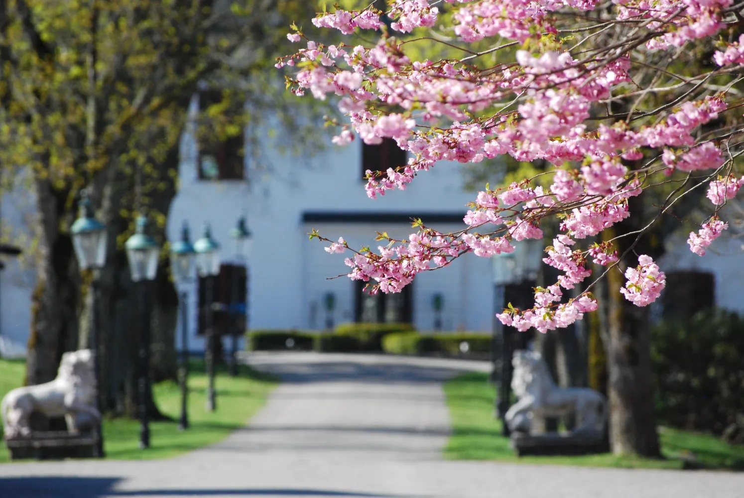 Häringe Slott