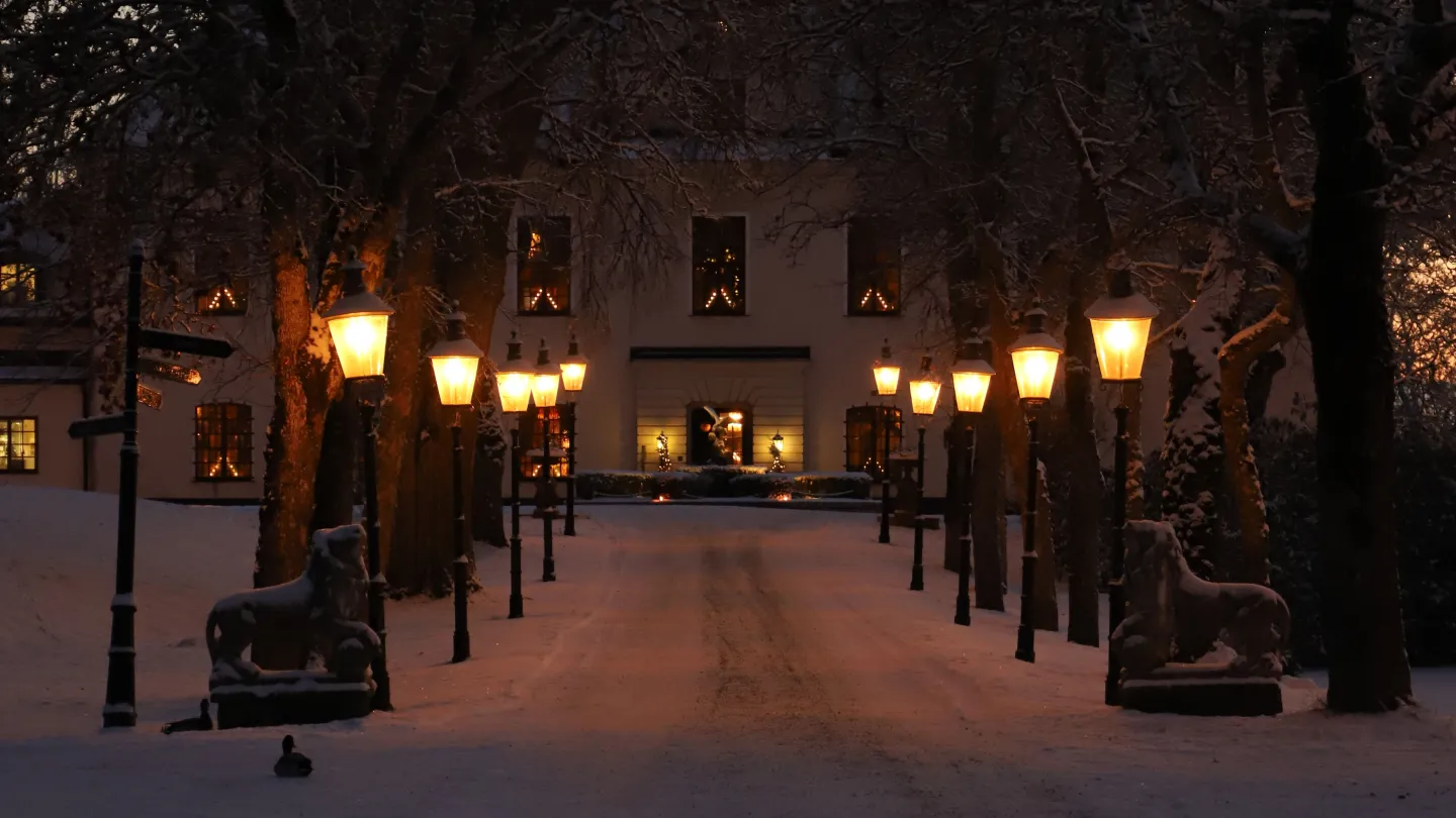 Juleljus på Häringe Slott